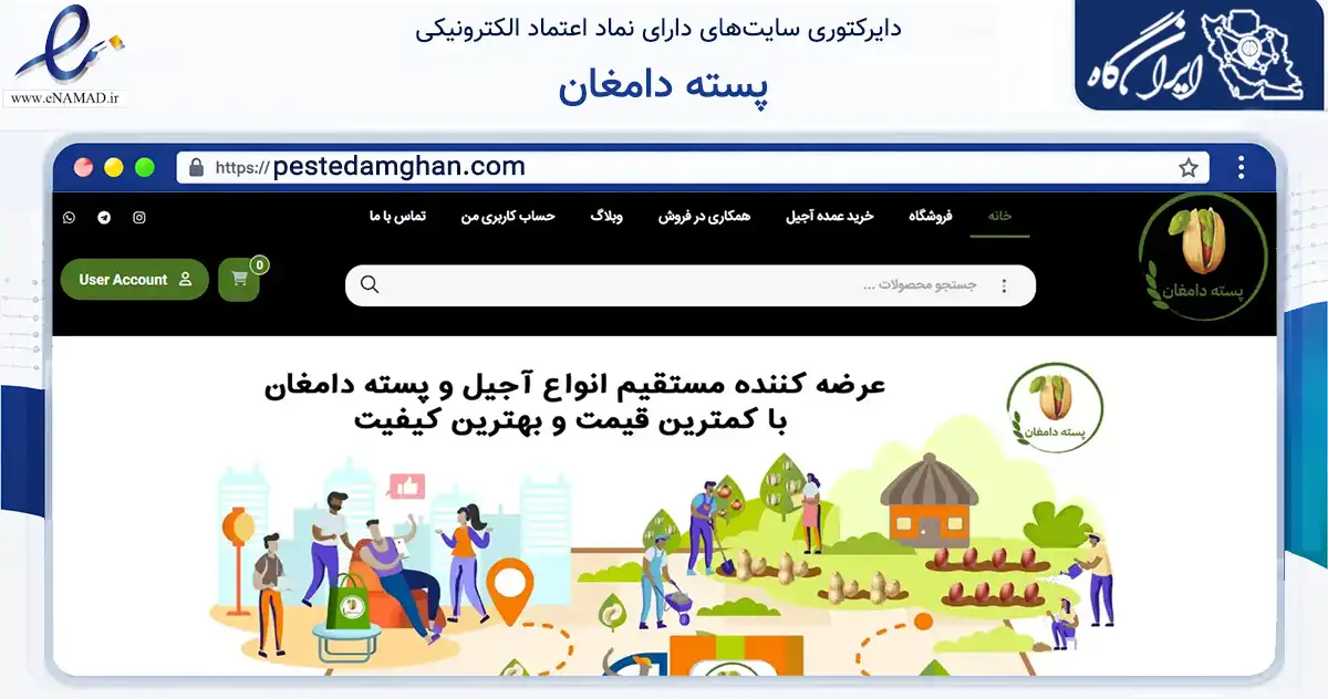 صفحه اصلی سایت پسته دامغان به نشانی pestedamghan.com که در زمینه تجارت، بازرگانی و تبلیغات با مرکزیت قائم‌شهر فعالیت دارد.