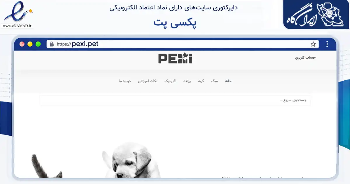 صفحه اصلی سایت پکسی پت به نشانی pexi.pet که در زمینه تجارت، بازرگانی و تبلیغات با مرکزیت مشهد فعالیت دارد.