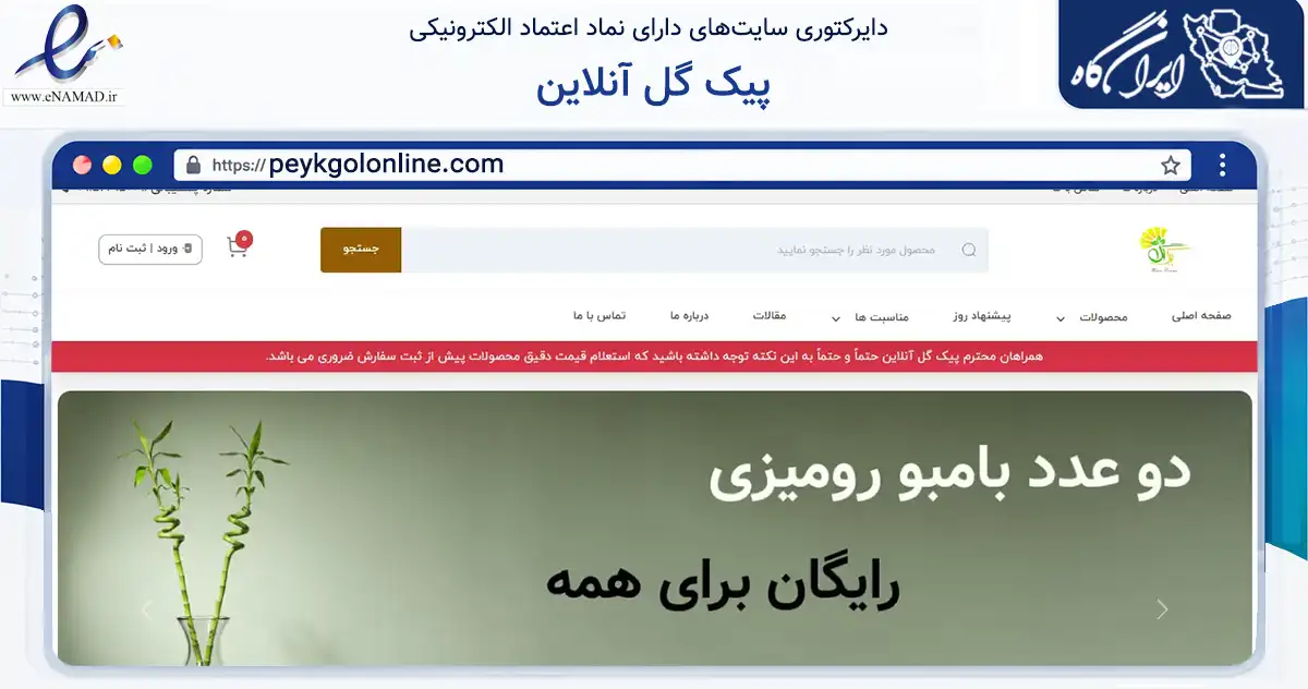 صفحه اصلی سایت پیک گل آنلاین به نشانی peykgolonline.com که در زمینه تجارت، بازرگانی و تبلیغات با مرکزیت مشهد فعالیت دارد.