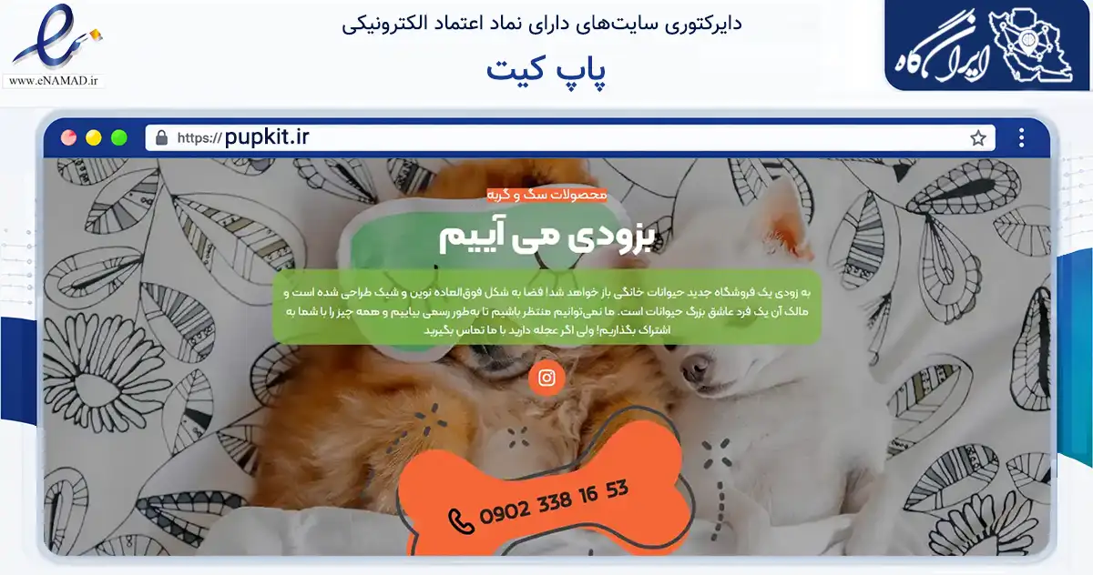 صفحه اصلی سایت پاپ کیت به نشانی pupkit.ir که در زمینه تجارت، بازرگانی و تبلیغات با مرکزیت یزد فعالیت دارد.