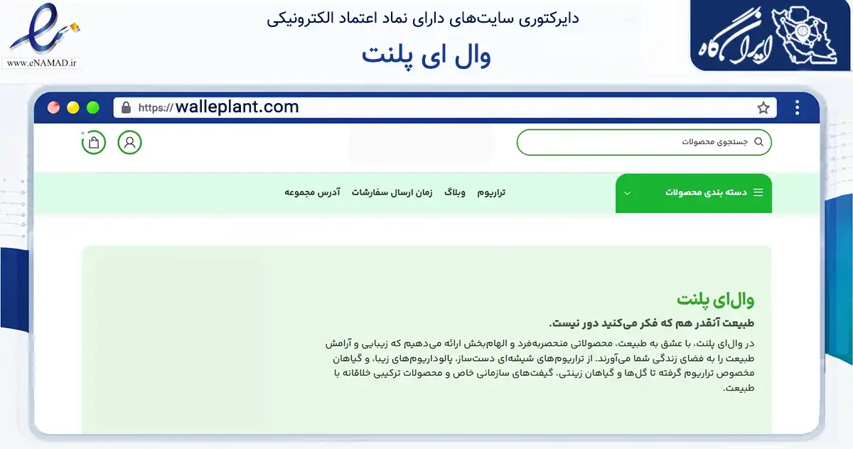 صفحه اصلی سایت وال ای پلنت به نشانی walleplant.com که در زمینه تجارت، بازرگانی و تبلیغات با مرکزیت تهران فعالیت دارد.
