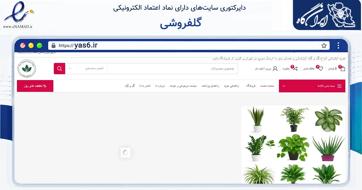 صفحه اصلی سایت گلفروشی به نشانی yas6.ir که در زمینه تجارت، بازرگانی و تبلیغات با مرکزیت کرج فعالیت دارد.
