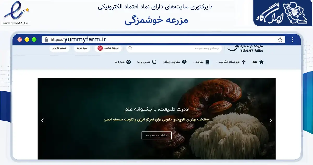 صفحه اصلی سایت مزرعه خوشمزگی به نشانی yummyfarm.ir که در زمینه تجارت، بازرگانی و تبلیغات با مرکزیت تهران فعالیت دارد.