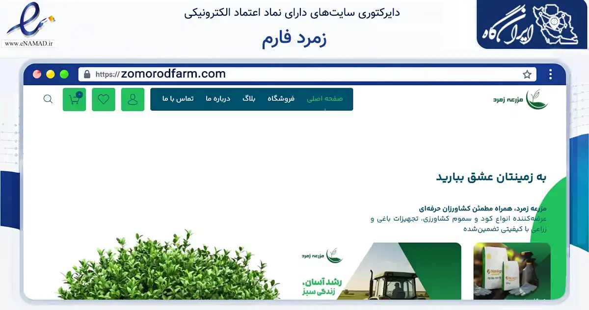 صفحه اصلی سایت زمرد فارم به نشانی zomorodfarm.com که در زمینه تجارت، بازرگانی و تبلیغات با مرکزیت گرگان فعالیت دارد.